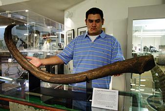 浮冰上的王者—海象,象牙既是拐杖也是长矛,因冰面融化群体跳崖