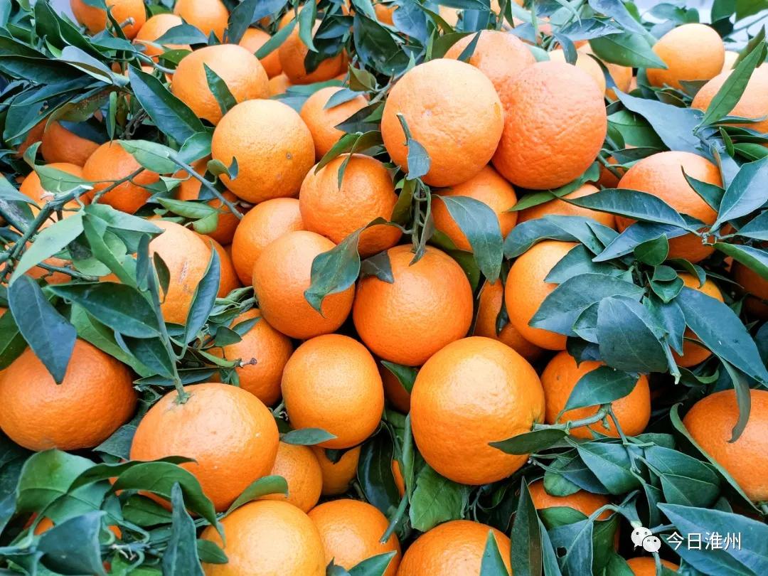 淮口景区,淮口附近旅游景区推荐一下