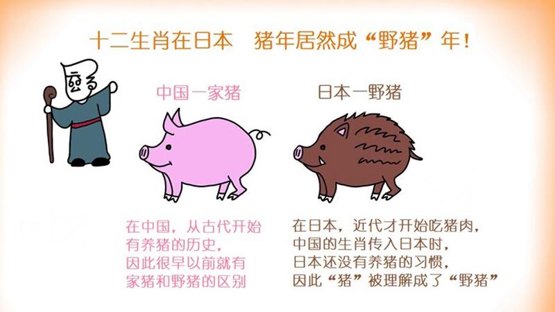 为什么越南的12生肖里有猫,为什么越南十二生肖有猫