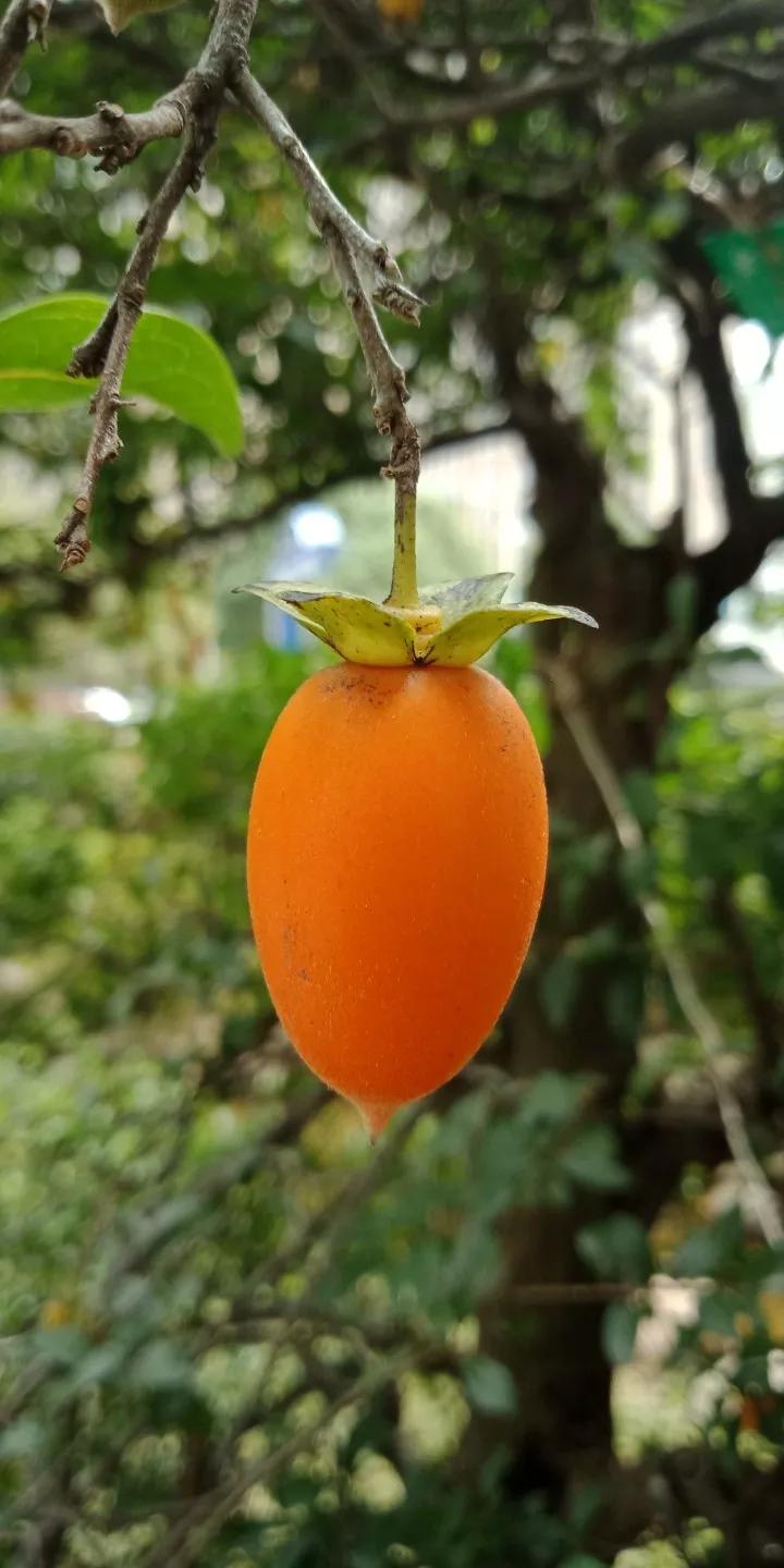 人睡着后不盖被子会着凉吗,人睡觉时为什么要枕枕头