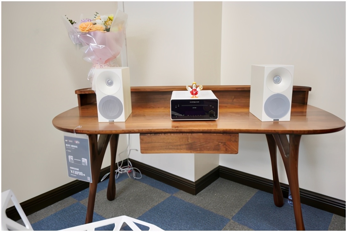 爱威音响,爱威音响系列