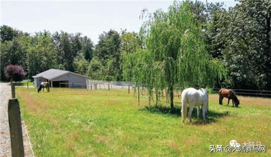 德比、升班马、杆位……这些足球赛车常用语竟来自赛马？！