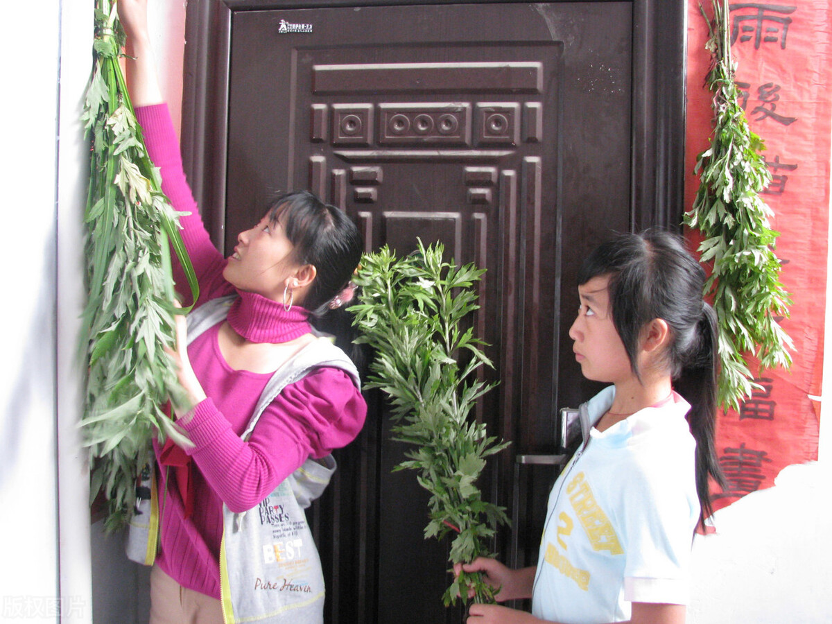 端午挂艾草的正确方法北方,端午挂艾草什么时间挂最好