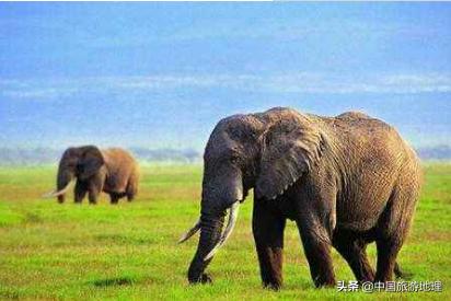 有哪些关于泰国的冷知识知乎,泰国冷知识全部