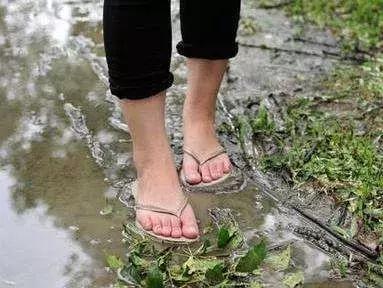 台风天脚痒,台风暴雨后当心皮肤病找上门