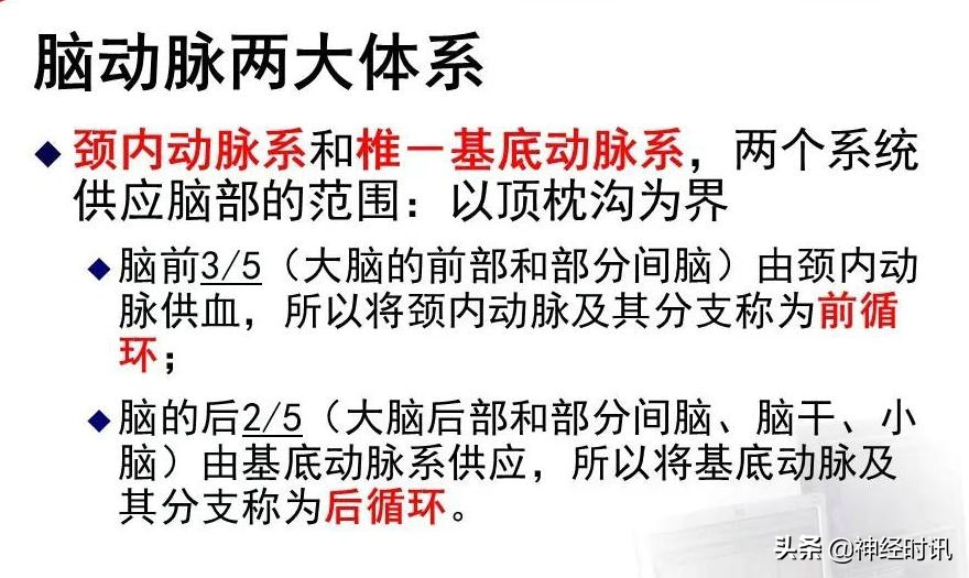 脑动脉解剖学讲解,脑膜中动脉解剖讲解