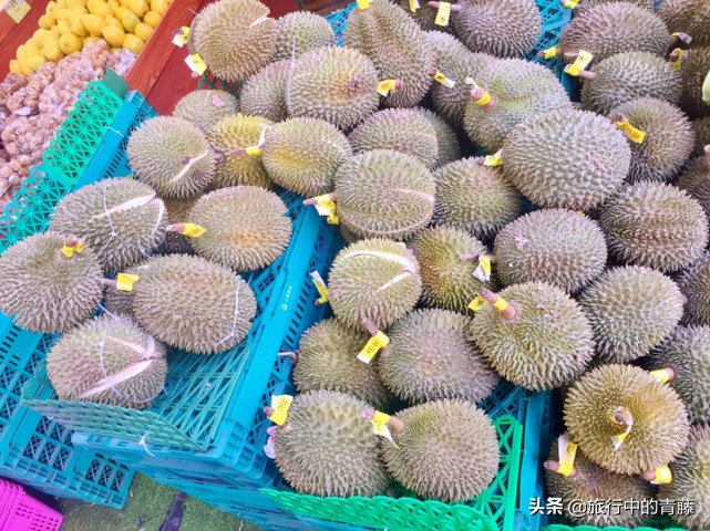 西双版纳热带雨林有什么水果,西双版纳现在有啥好吃的水果