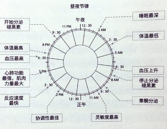失眠头痛浑身无力怎么办,失眠了头疼怎么缓解