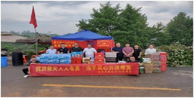 安徽人民抗击洪水,抗洪救灾安徽分队