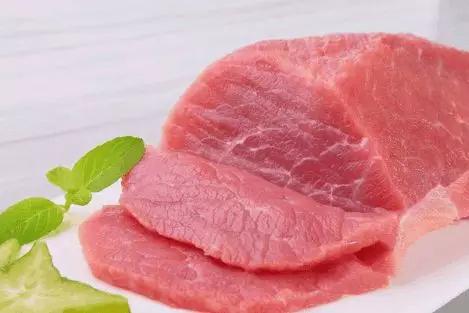 开片叉尾鮰鱼,叉尾鮰鱼科普