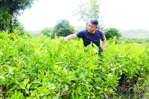 致敬扶贫路上的英雄完整版,湖南脱贫攻坚先进个人