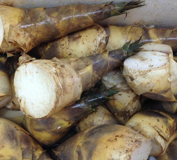 温州十大特产鱼干怎么吃,温州十大特产零食饮料