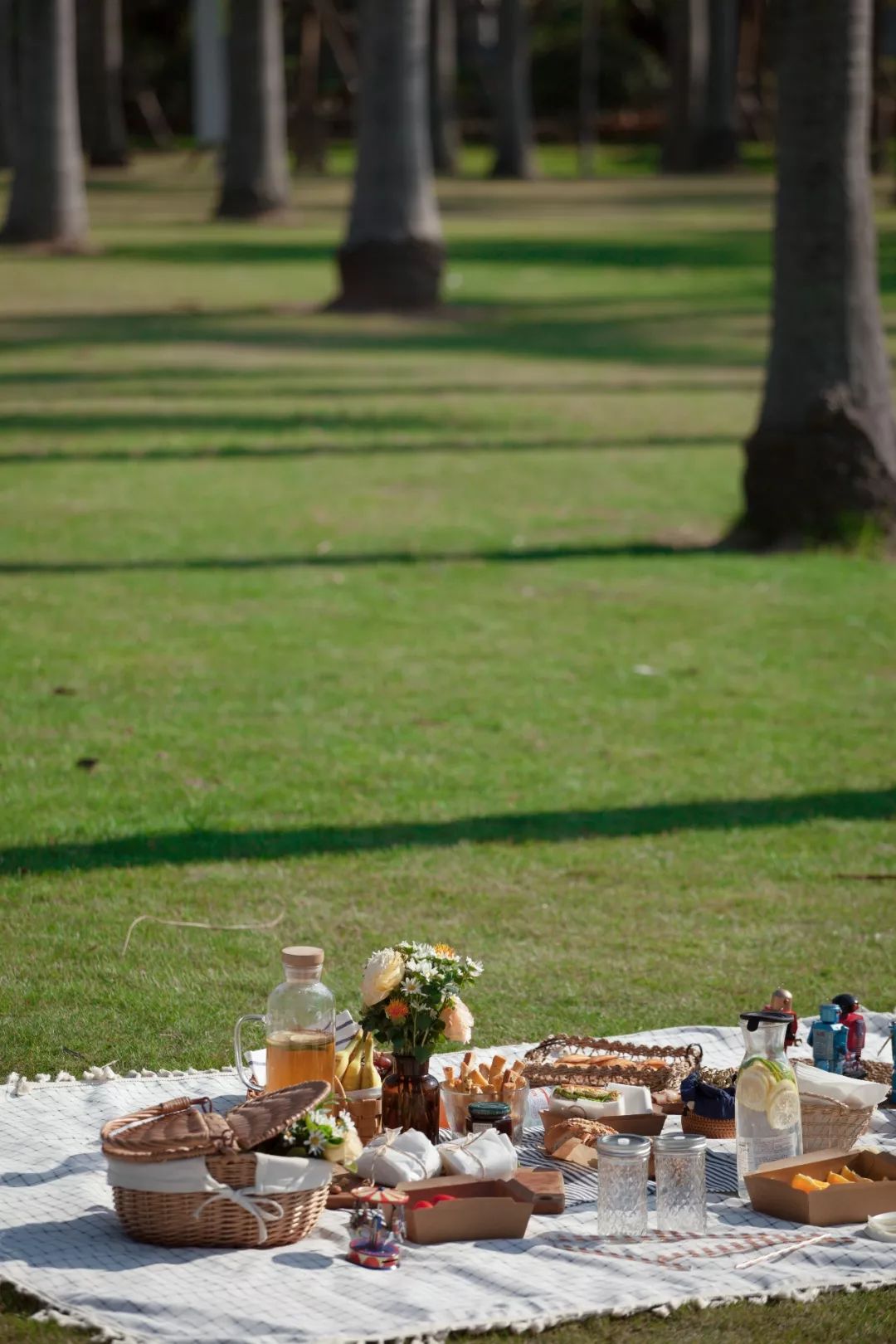 今年的野餐，我不允许你输给任何人