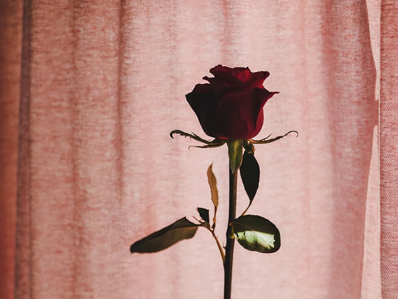 互相暗恋的两个人，会有这些“心有灵犀”