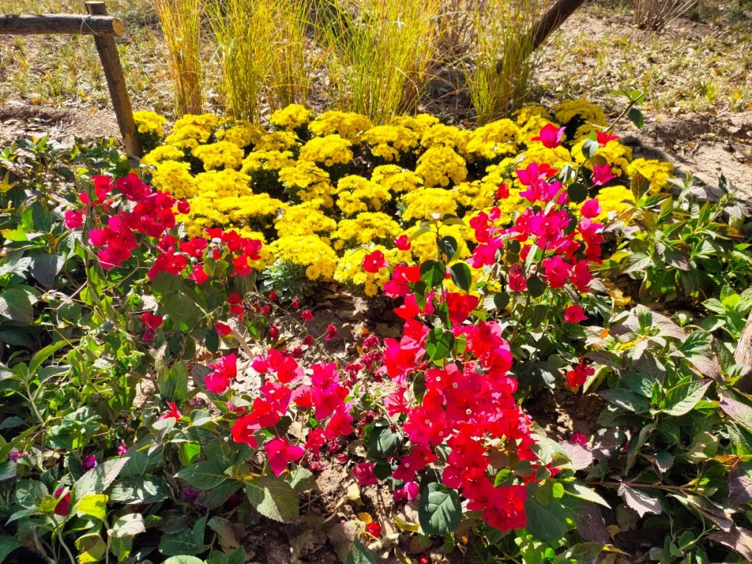 天坛附近公园有哪些,天坛公园周边有什么可逛的