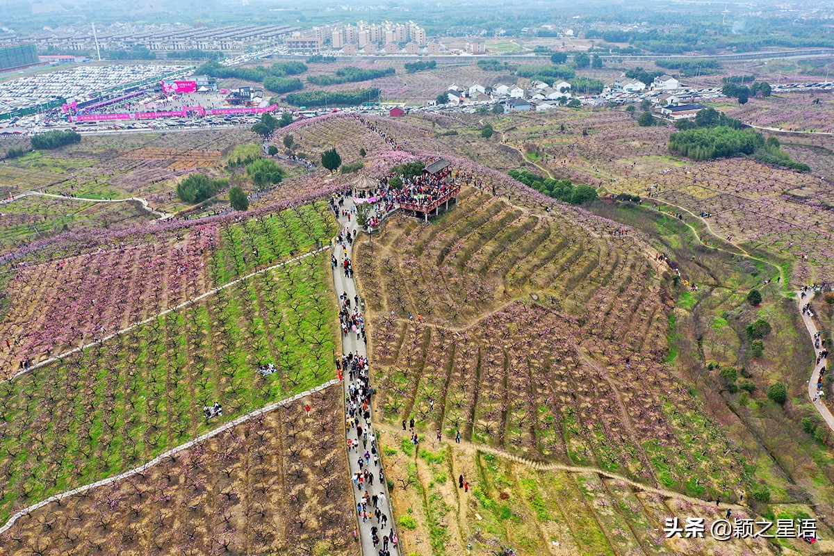 天下第一桃花源风景区,天下第一桃园图片