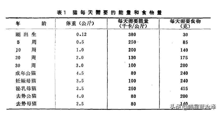 幼猫不知道之前吃什么猫粮怎么办,幼猫该吃什么东西
