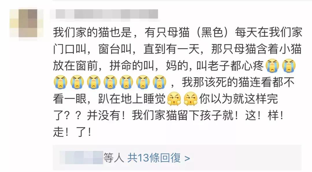 鑷粠鏈変簡鐚不鎰堜簡鎴戠殑鎳掓儼,涓轰粈涔堣姗樼尗鍗佹涔濇福