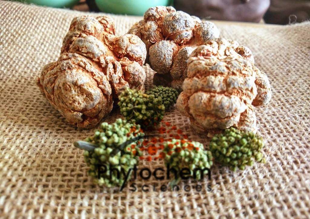 营养补充剂含哪些物质成分,营养补充剂有哪些