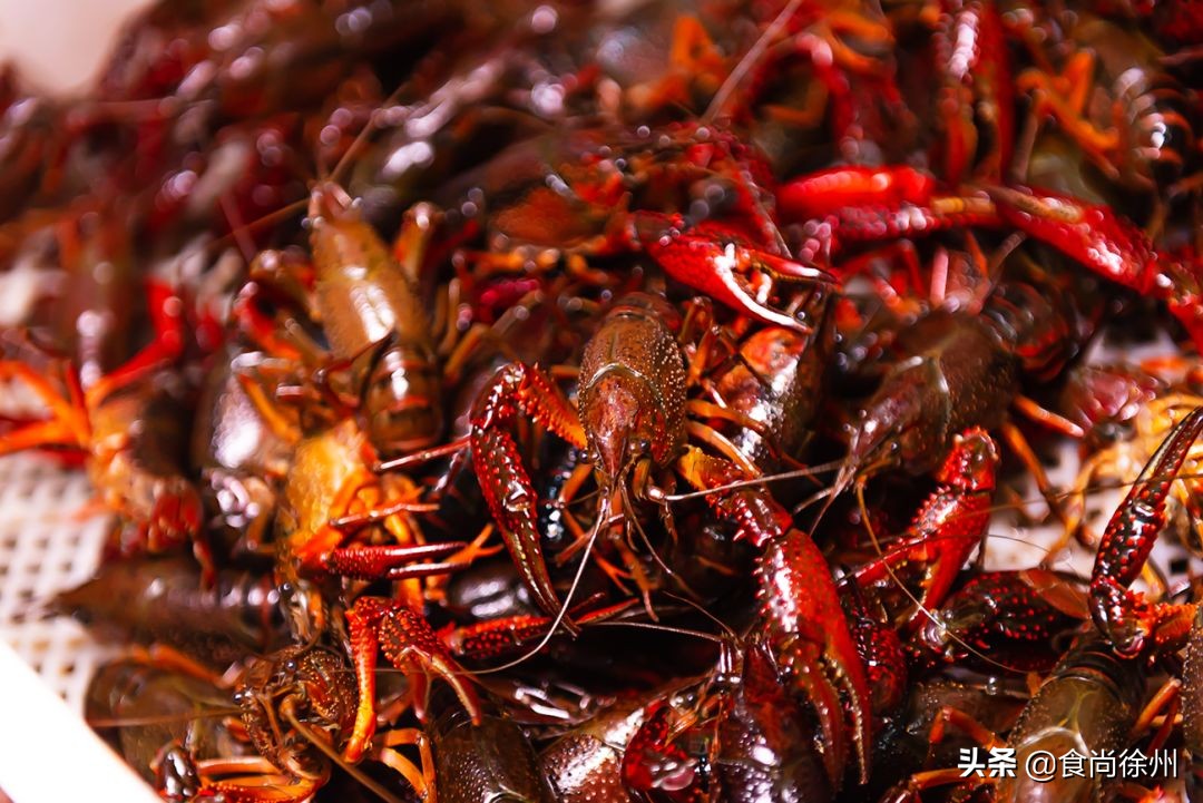 滚烫，火辣，江湖气！当武汉的馆子来到徐州，这座城的灵魂也来了