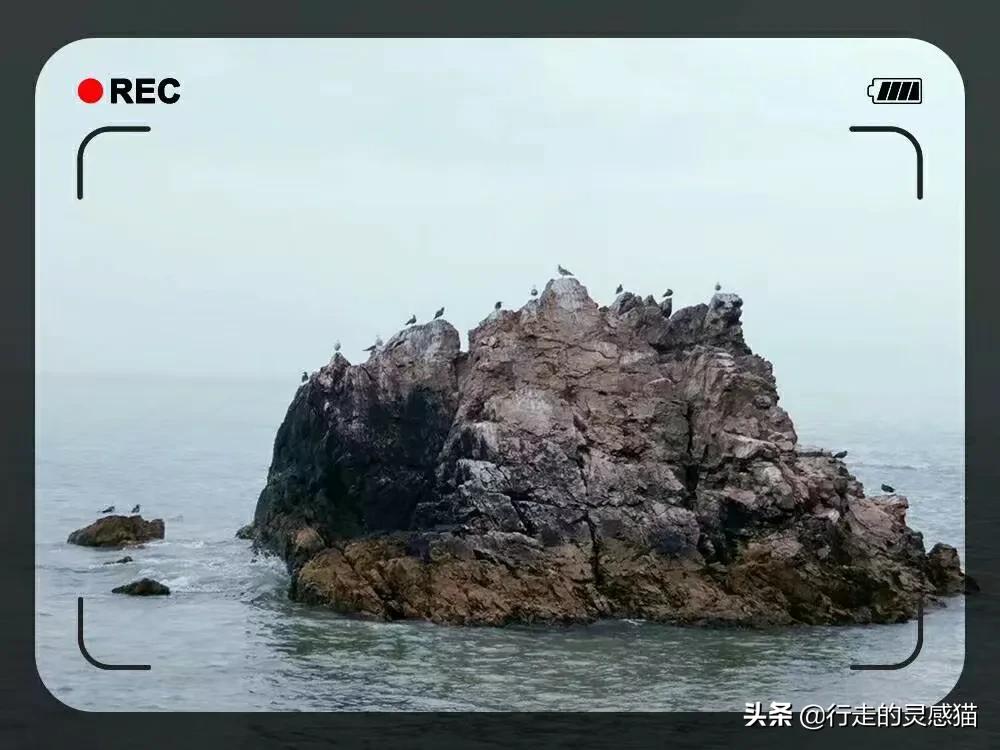 山东威海海驴岛攻略,山东海驴岛旅游攻略