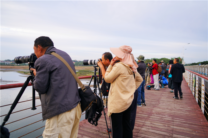 河北最宜居的城市有哪几个,河北最宜居的城市是哪个