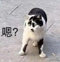 小时候唱的顺口溜叫什么词,你小时候唱过的顺口溜有多暗黑