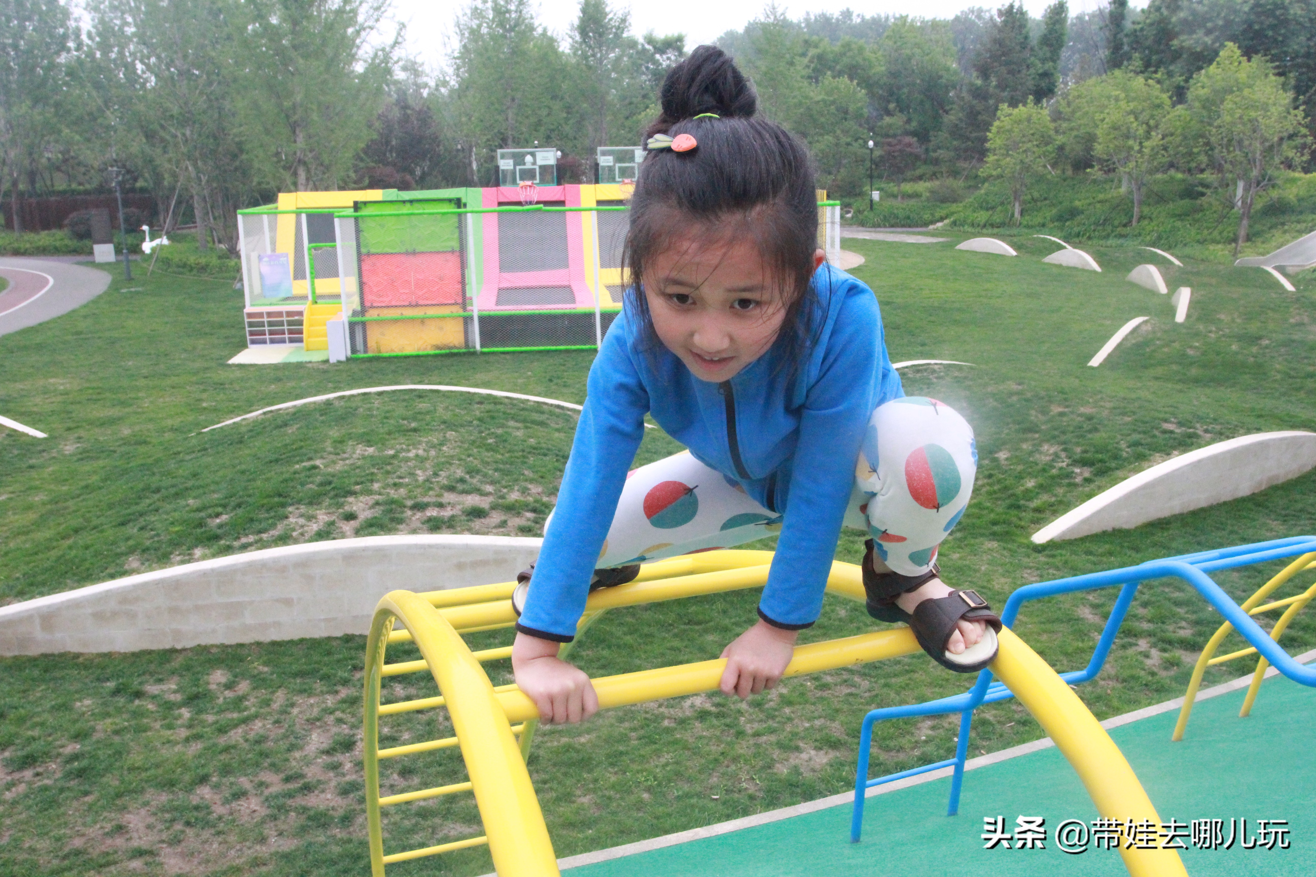 海德公园参观,北京的海德公园