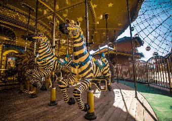 惊喜放“价”|错过了双十一，你还能错过双十二么？OMG~买它