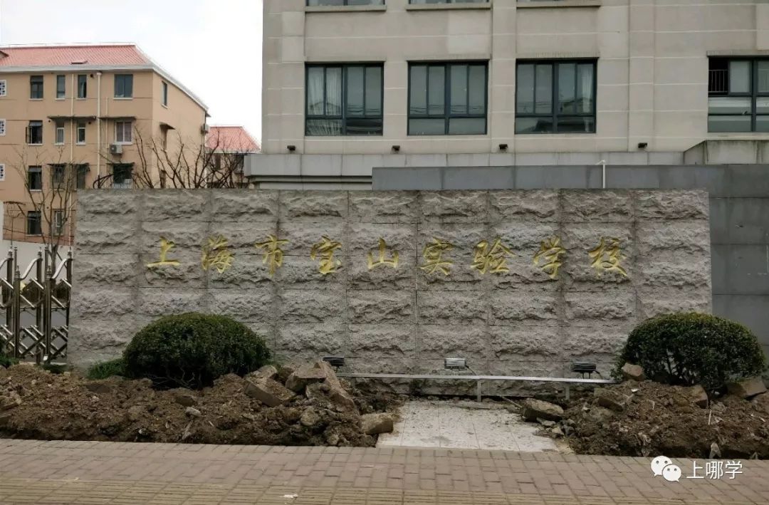 上海宝山区小学排名前十,上海宝山区小学排名大全