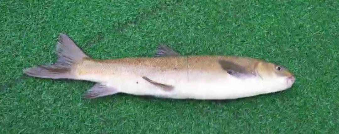 历史文化古城四川古城,四川省伟人故里