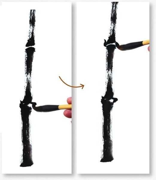 画竹子的简单画法水墨初学,竹子没骨画教程