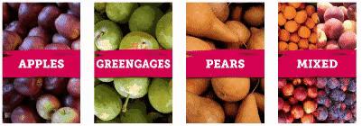 新西兰美食100种,哪里有新西兰水果