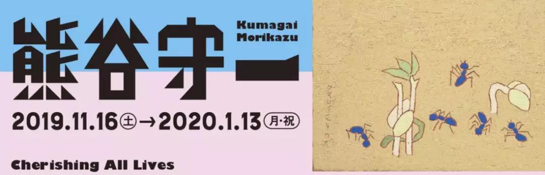 日本最好看的铁路,日本为什么热衷于东南亚铁路