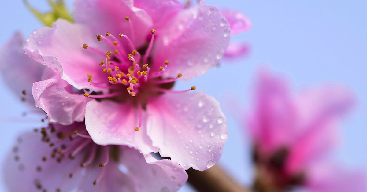 男人和女人三观合不合是指哪三观,家庭三观不合指哪三观