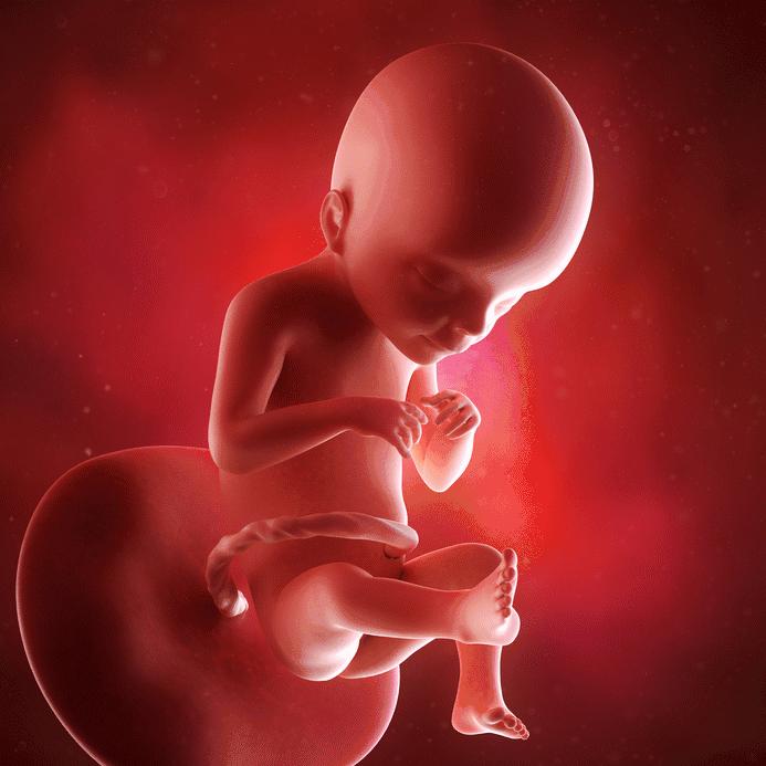 产后第一天的十件事,产后7天记录什么