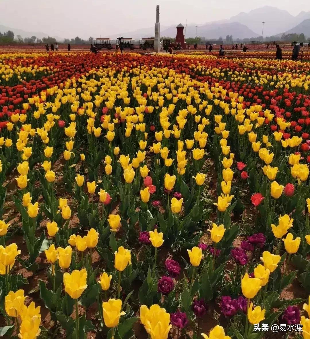 易县好玩,易县谢村文化广场五一