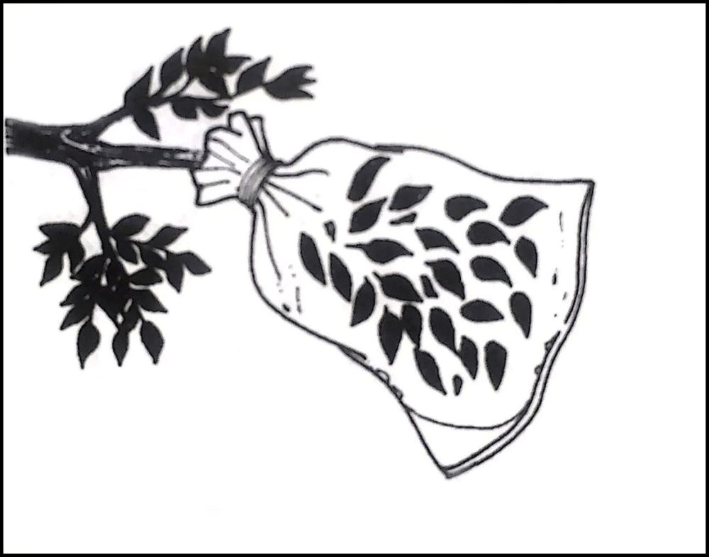 硬核保命指南,豆瓣评分6.7的书该不该看