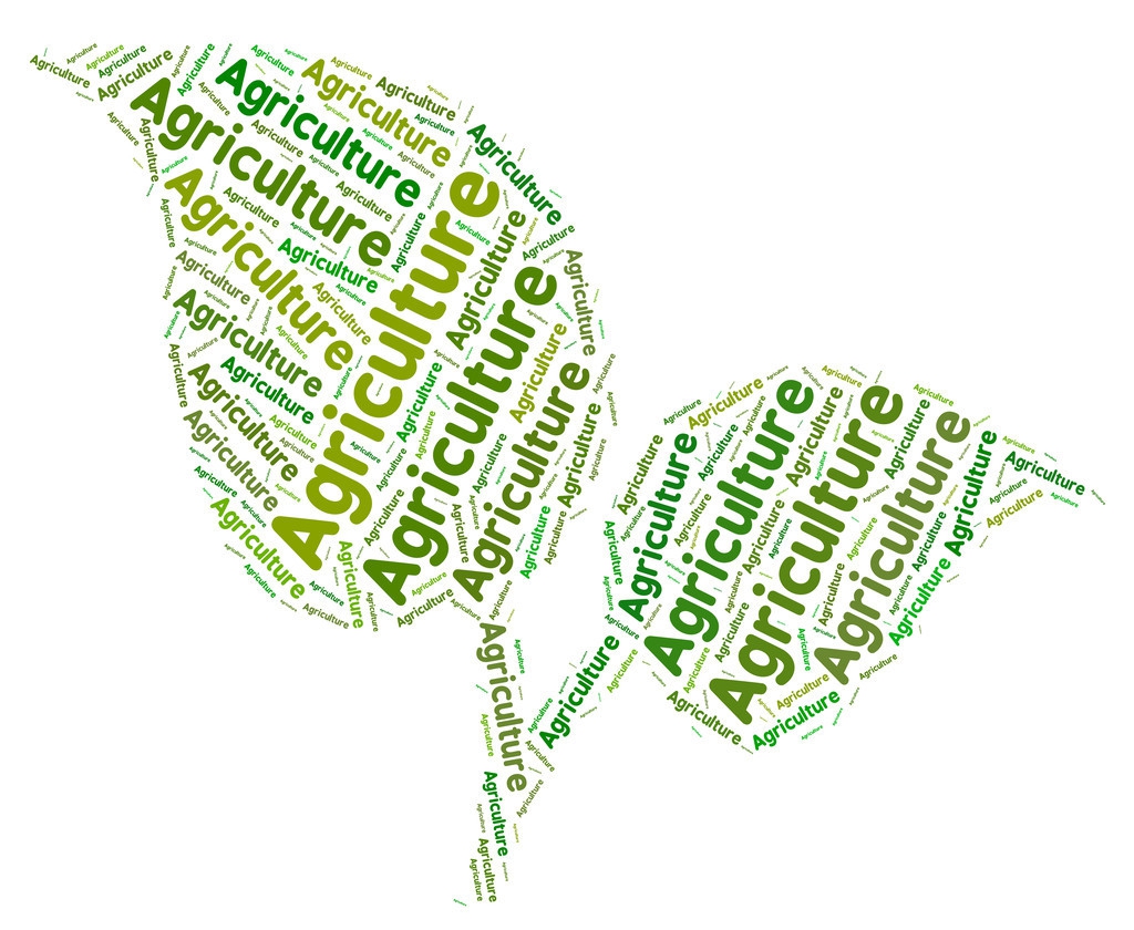 金龙鱼稻田大米,十月稻田五常大米好吃吗