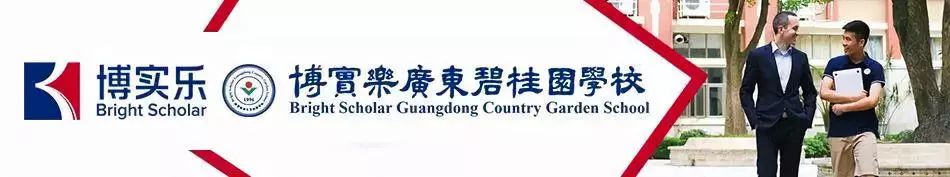 ipad适配的英语学习软件,ipad英语学习方法