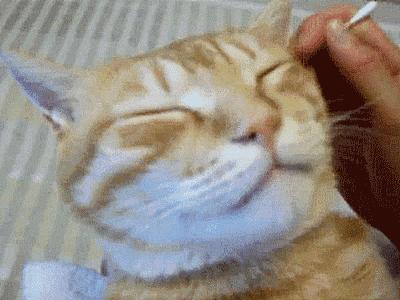 掏耳朵的正常掏法,怎么正确掏耳朵还掏得干净