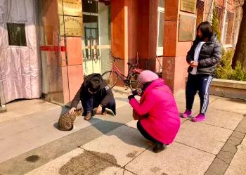 一到毕业季,我们大学的校猫就疯了哈哈哈