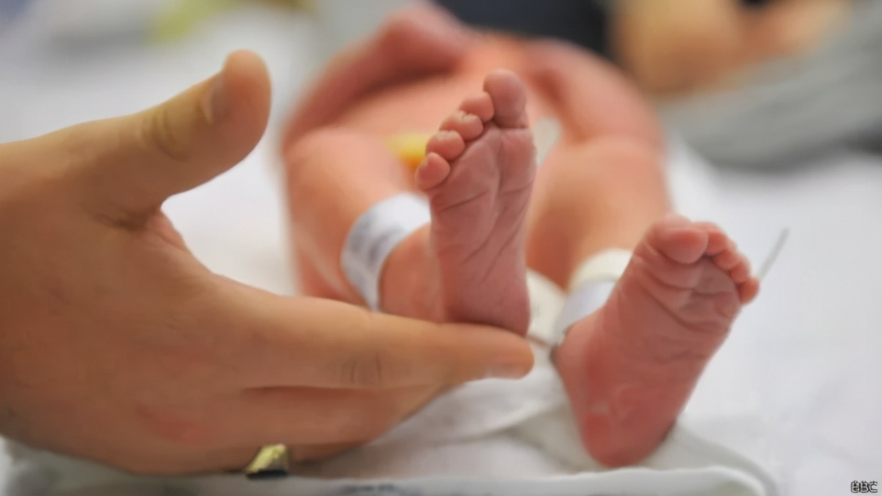 澳洲绿卡和pr有什么区别,澳洲绿卡最新通知