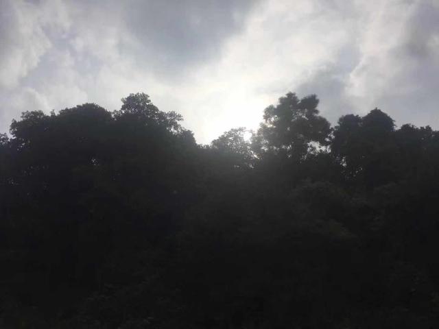 乔布斯在斯坦福大学的演讲，大师的道是什么？思想是什么