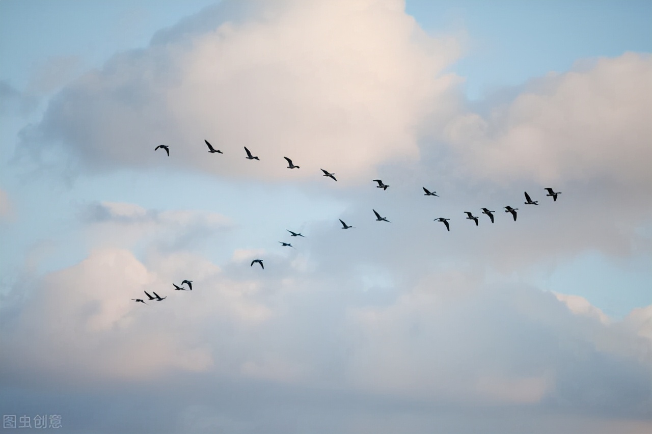 昨天的故事图片,昨天的故事系列