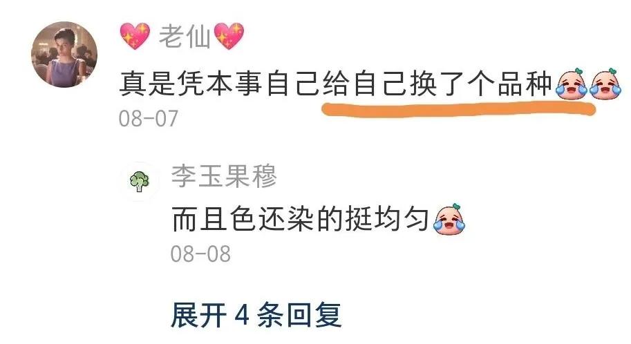 全球罕见足球猫冲上热搜，网友：指定染色！结果......哈哈哈哈