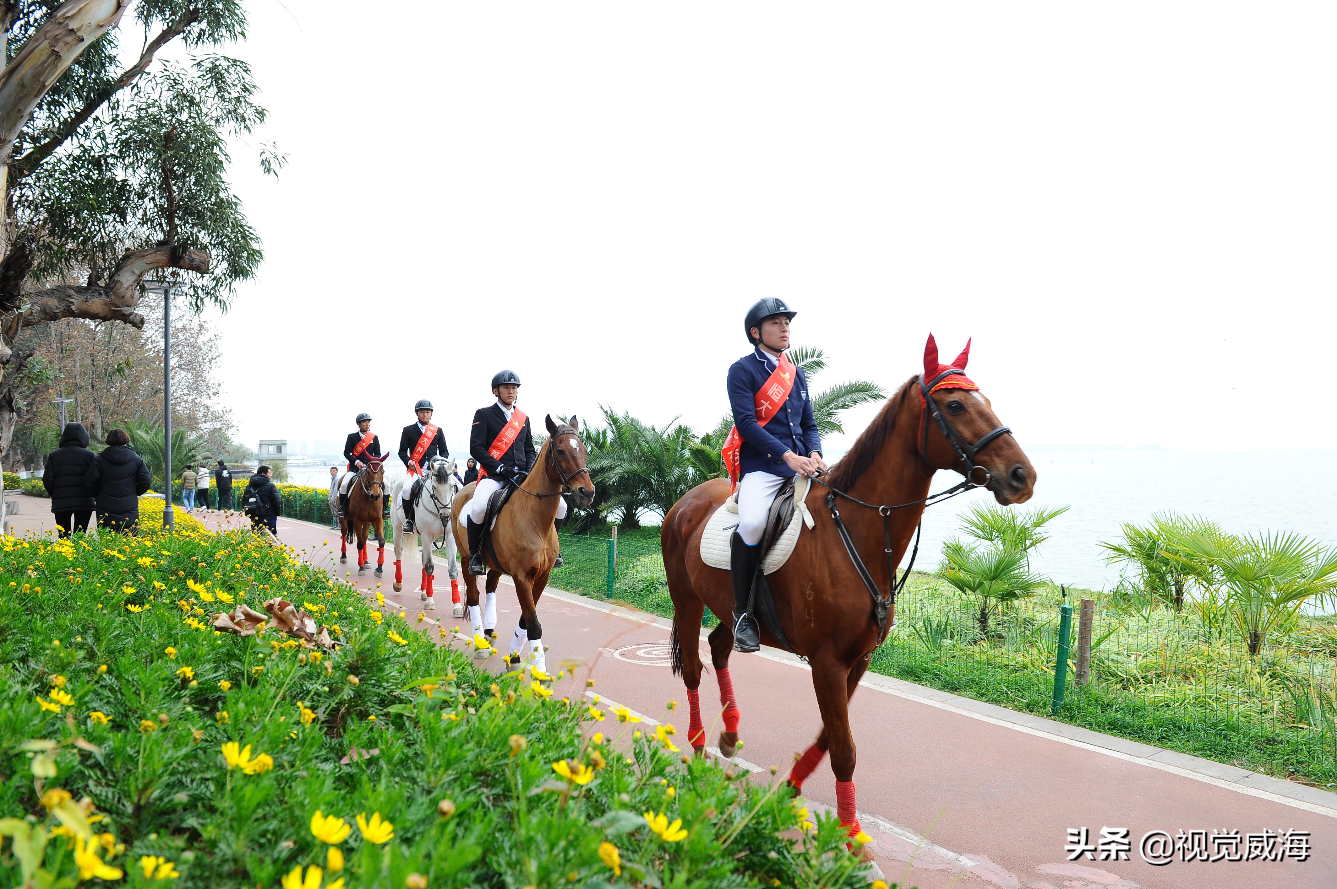 踏马滇池?百万名马乘骑等你来体验