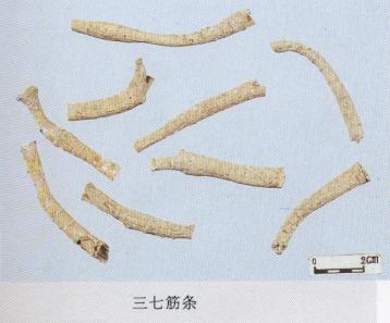 怎样辨别三七真假最简单的方法,真假三七粉如何辨别