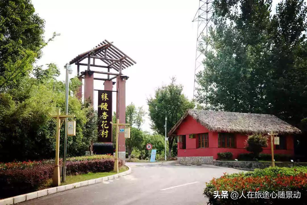 南京江宁乡村旅游攻略,南京江宁最美乡村一日游