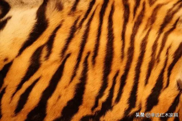 古代木匠是干什么,古代木匠用什么钉子